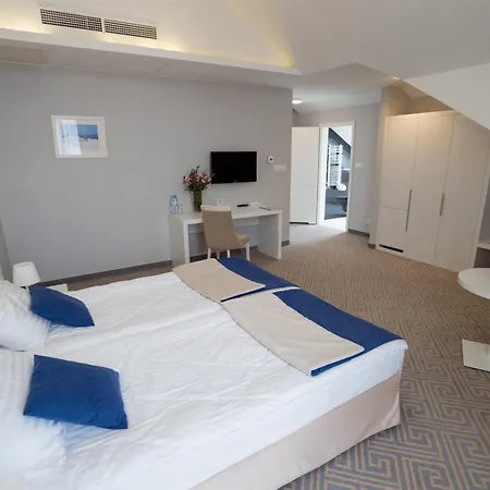 Aleksandria 호텔 시에들체