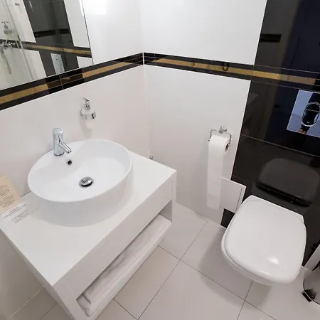 Aleksandria 시에들체